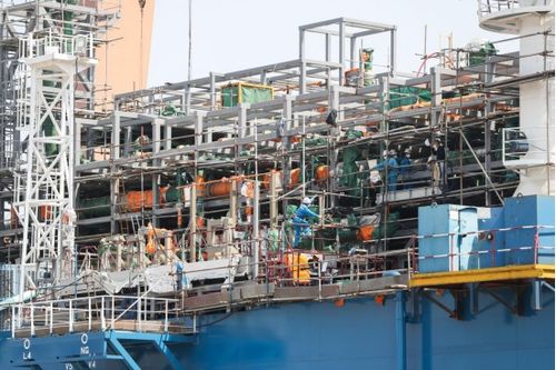 中国制造“香”飘海外，订单排到三年后，装卸服务助力全球供应链