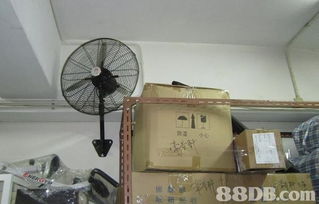 优质搬屋服务全攻略 如何轻松选择专业搬运公司